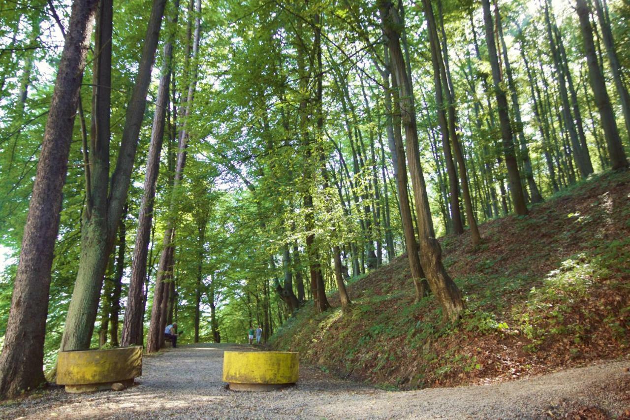 Apartman Nikolic,Banja Vrucica,Teslić エクステリア 写真